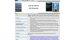 Desktop Screenshot of goklany.org